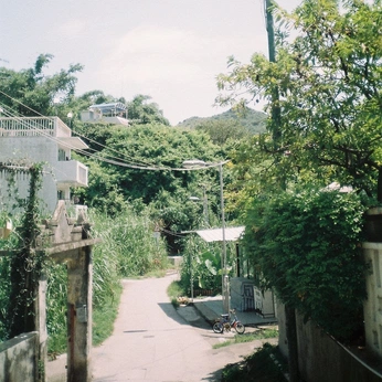 A cover of "analog" cluster. The owner is hanajauregui. The cluster description is "landscape". The cluster consists of 18 elements.