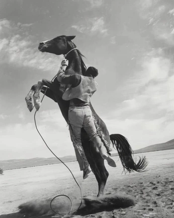 A cover of "sass&jazz" cluster. The owner is reverieriver. The cluster consists of 6 elements.