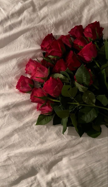 A cover of "Swiss Miss" cluster. The owner is alexzavala. The cluster consists of 8 elements.