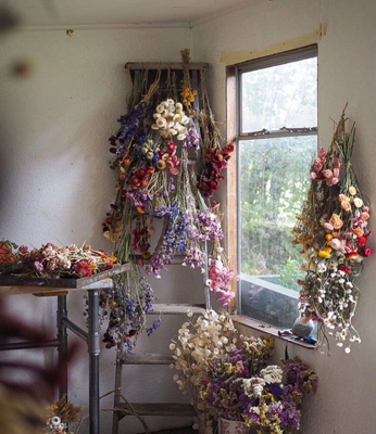 A cover of "June" cluster. The owner is lisaoliv. The cluster consists of 4 elements.