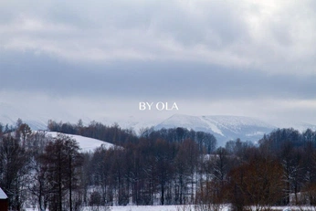 A cover of "inspi" cluster. The owner is eliseplt. The cluster consists of 3 elements.