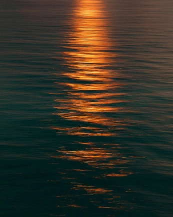 A cover of "Golden hour" cluster. The owner is pastelfoxglove. The cluster consists of 12 elements.