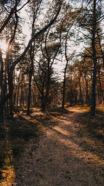 A cover of "WORD" cluster. The owner is minasaikoarigato. The cluster consists of 1 element.