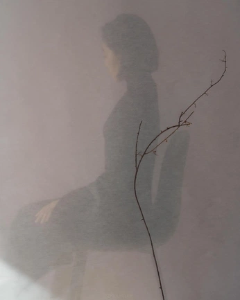 A cover of "Photo - Composition" cluster. The owner is dhanuxlove. The cluster consists of 2 elements.