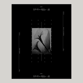 A cover of "( graphic )" cluster. The owner is purestudio. The cluster consists of 223 elements.