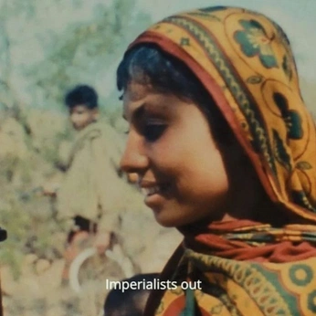 A cover of "Text" cluster. The owner is indigodiasol. The cluster consists of 1 element.