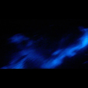 A cover of "Backrounds" cluster. The owner is g4sin. The cluster consists of 10 elements.