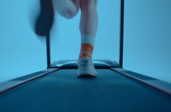 A cover of "Reference Framez" cluster. The owner is alejojt. The cluster consists of 14 elements.