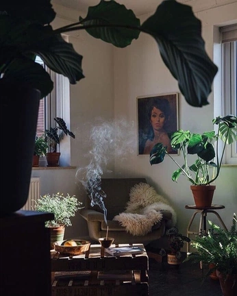 A cover of "slightly witchy vibes" cluster. The owner is chayna. The cluster consists of 12 elements.