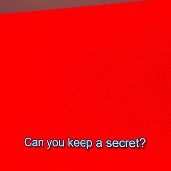 A cover of "Misc." cluster. The owner is laurenamundrud. The cluster consists of 10 elements.