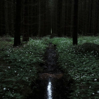 A cover of "chaospostcards" cluster. The owner is xrkiira. The cluster consists of 46 elements.