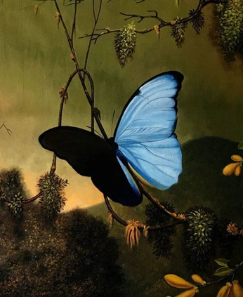 A cover of "cover art ideas" cluster. The owner is madhuuuhere. The cluster consists of 43 elements.