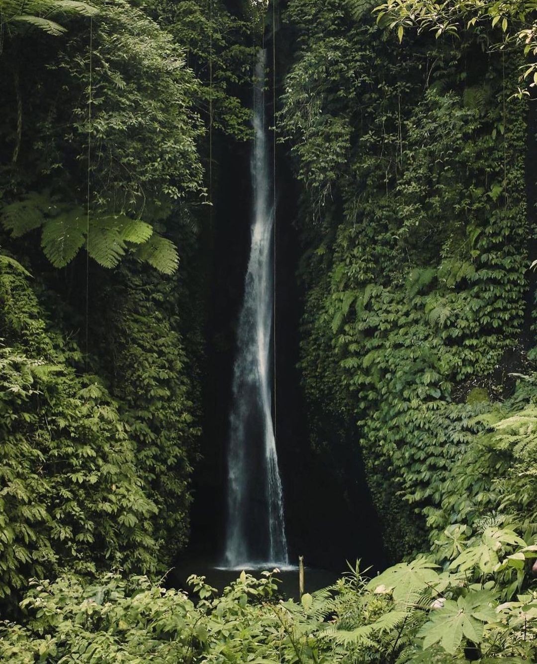 Sekumpul Waterfall in Bali, Indonesia. Photo by Tom Fisk.