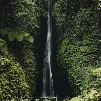 A cover of "water. earth." cluster. The owner is michaelakelso. The cluster consists of 89 elements.