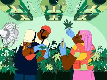 A cover of "Cannabis Illustration" cluster. The owner is thehrdept. The cluster consists of 5 elements.