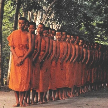 A cover of "Spirituality" cluster. The owner is cosmosluis. The cluster description is "Gods And Humans". The cluster consists of 98 elements.