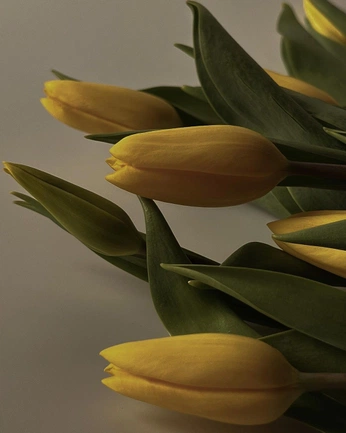 A cover of "Flowers" cluster. The owner is jjennie. The cluster consists of 1 element.