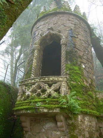 A cover of "old mossy castles" cluster. The owner is asetheticboy. The cluster consists of 1 element.