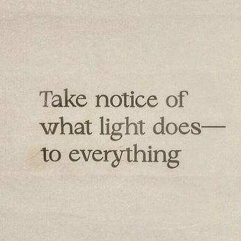 A cover of "beige" cluster. The owner is sofiazita. The cluster consists of 8 elements.