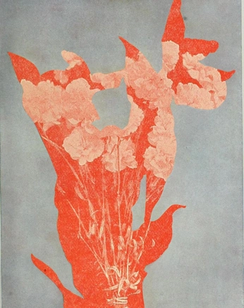 A cover of "Q" cluster. The owner is talulahbean. The cluster consists of 37 elements.