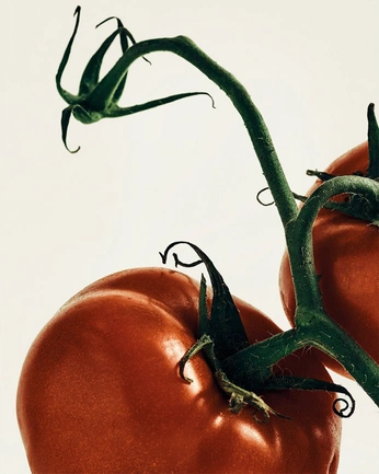 A cover of "Nature" cluster. The owner is p.lina. The cluster consists of 13 elements.