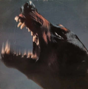 A cover of "themes and motifs" cluster. The owner is bingleberry. The cluster consists of 4 elements.