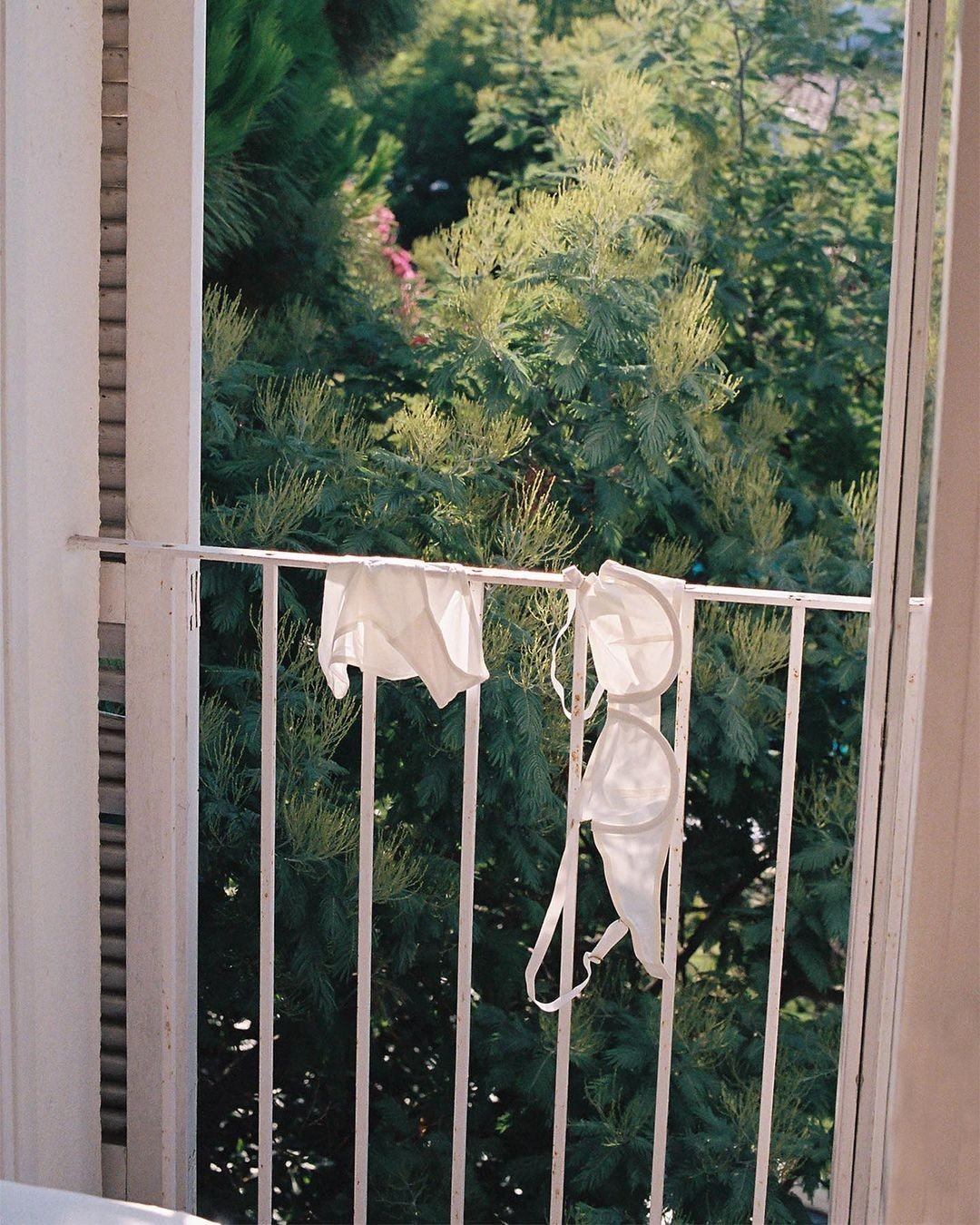 An Instagram  post added on Mar 19, 2024. The author is @cuup. May present: screen door, wood, plant, window, door.