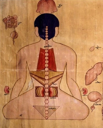 A cover of "Guide To Reincarnation" cluster. The owner is courtroberts. The cluster consists of 7 elements.