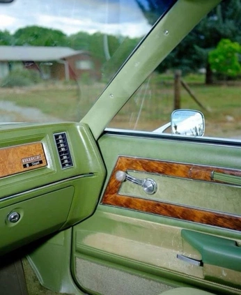 A cover of "Life" cluster. The owner is thaisferraz. The cluster consists of 5 elements.