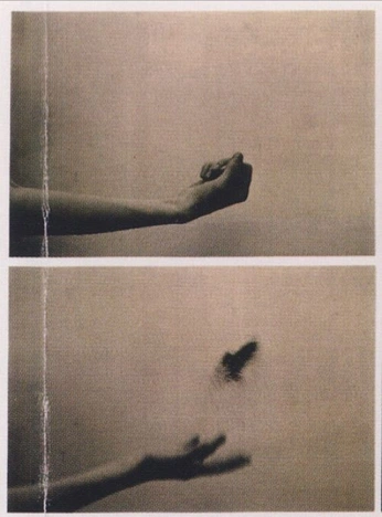 A cover of "Life" cluster. The owner is pepinurstep. The cluster consists of 4 elements.