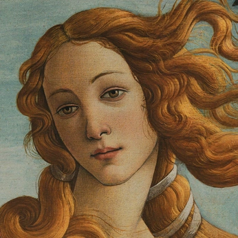 A cover of "Desktop Wallpapers" cluster. The owner is discipulus. The cluster consists of 6 elements.