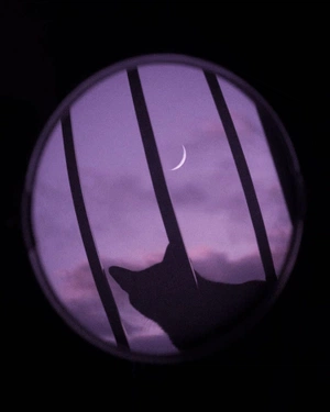 Jinn Sutoreii avatar