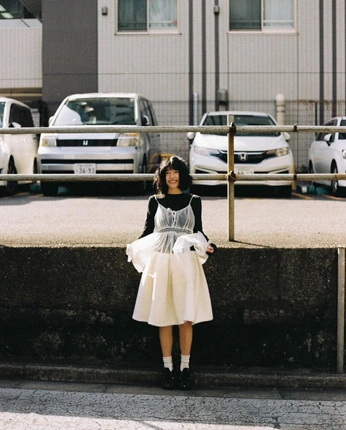 A cover of "conceptual." cluster. The owner is lalaaaa.aaaaaaaa. The cluster consists of 106 elements.