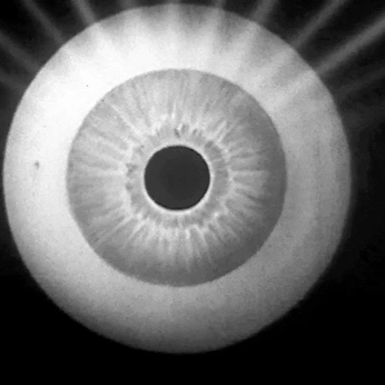 A cover of "observed" cluster. The owner is wontonsoup. The cluster consists of 25 elements.