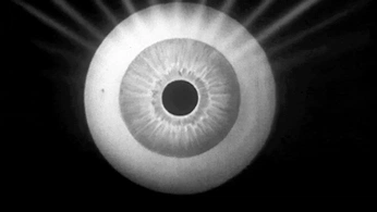 A cover of "Folio site" cluster. The owner is rhodes. The cluster consists of 1 element.