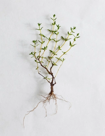 A cover of "Research" cluster. The owner is saeedferguson. The cluster consists of 844 elements.