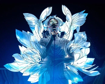 A cover of "haute couture" cluster. The owner is snailbuds. The cluster consists of 14 elements.