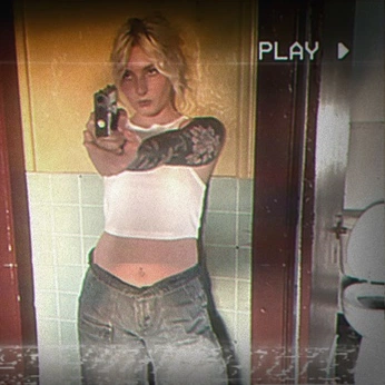 A cover of "Low Res Pics" cluster. The owner is fever.form. The cluster consists of 108 elements.