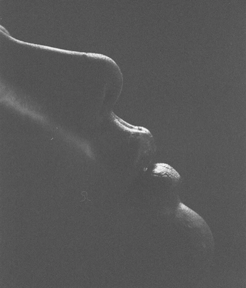 A cover of "RadAwayy" cluster. The owner is radaway. The cluster consists of 142 elements.