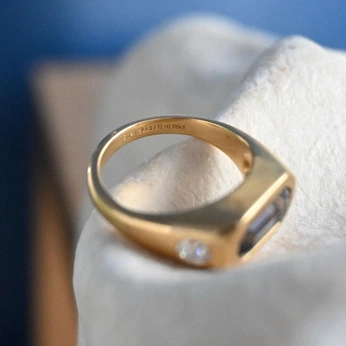 A cover of "Ring" cluster. The owner is bleachco. The cluster consists of 1 element.