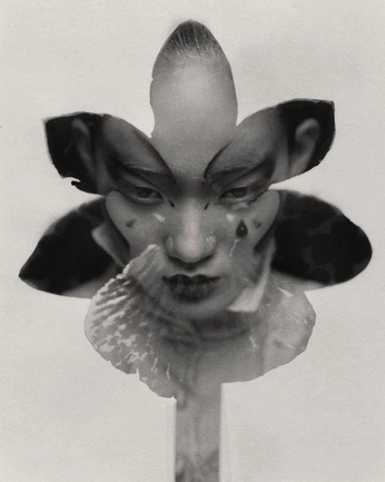 A cover of "photography 📸" cluster. The owner is pyaar. The cluster consists of 5 elements.