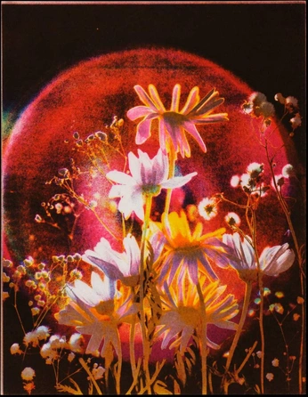 A cover of "Red" cluster. The owner is misschar. The cluster consists of 8 elements.