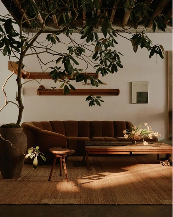 A cover of "Brown" cluster. The owner is cnoahontheark. The cluster consists of 13 elements.