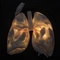 Cover of LUNG cluster