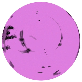 A cover of "Purple" cluster. The owner is dinewo. The cluster consists of 4 elements.