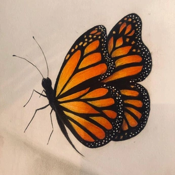 A cover of "art" cluster. The owner is jsbea. The cluster consists of 96 elements.