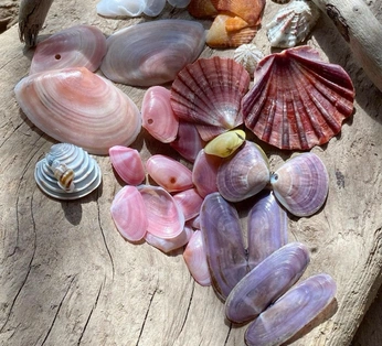 A cover of "water one" cluster. The owner is irinemmewa. The cluster consists of 24 elements.