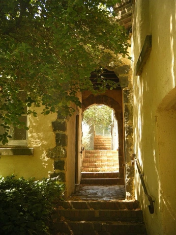 A cover of "🌿🏺🌙it’s callinggggg" cluster. The owner is jwbrandon. The cluster consists of 63 elements.