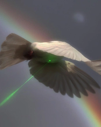 A cover of "🩰" cluster. The owner is aulaura. The cluster consists of 1 element.