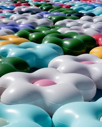 A cover of "plett" cluster. The owner is mari.barnard. The cluster consists of 20 elements.